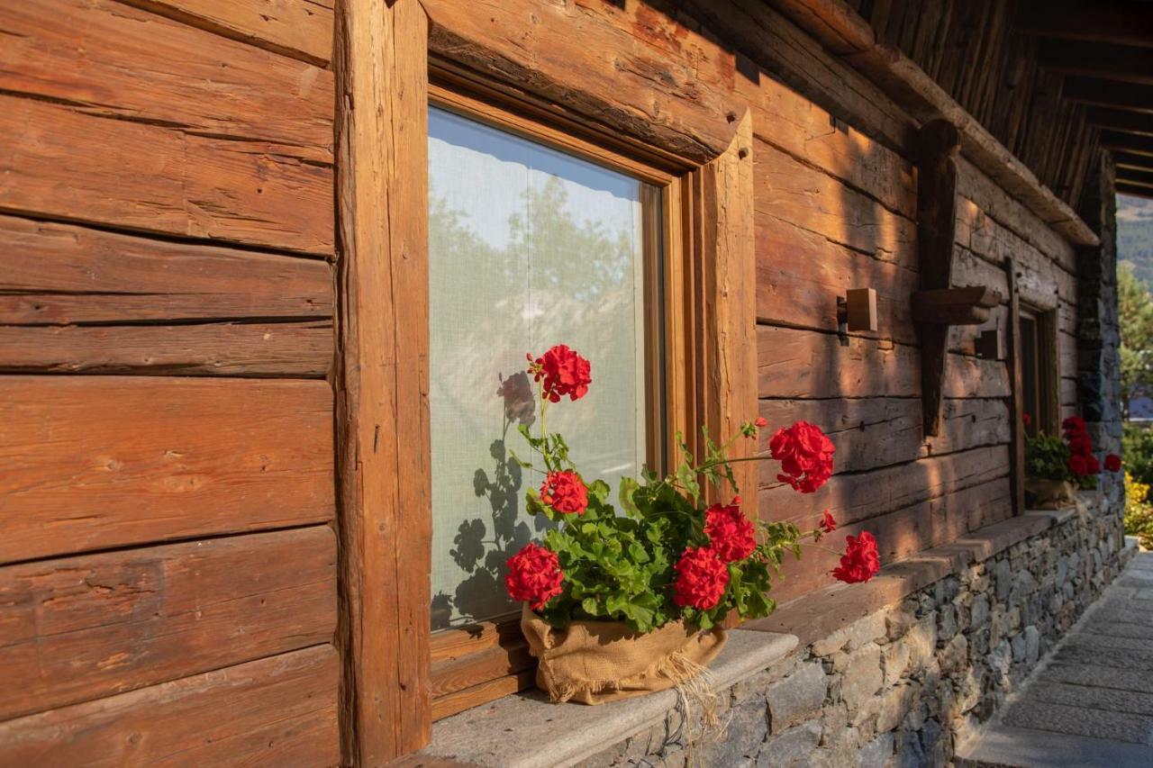 Casa Vacanze Petit Haury - Alloggi Ad Uso Turistico Vda Arvier N 0039 E N 0040 - エクステリア 写真