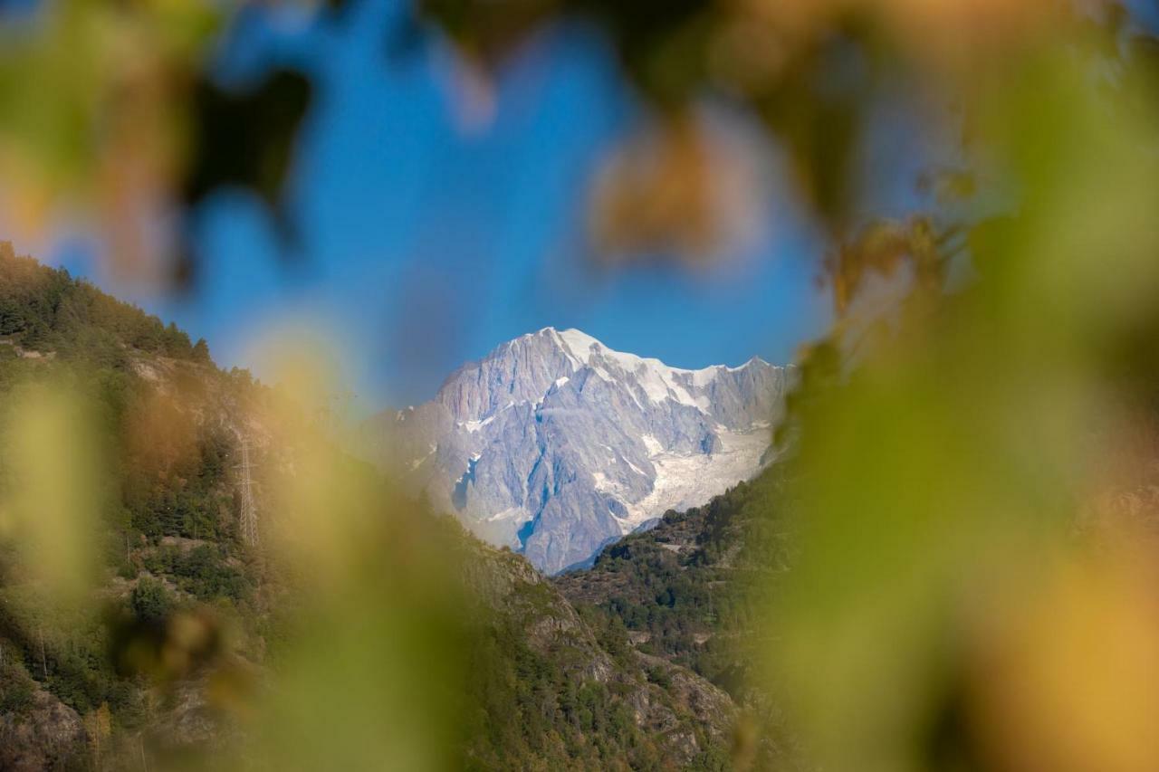 Casa Vacanze Petit Haury - Alloggi Ad Uso Turistico Vda Arvier N 0039 E N 0040 - エクステリア 写真